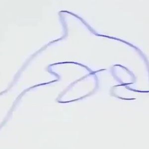 Meet your Posher, Tacarra